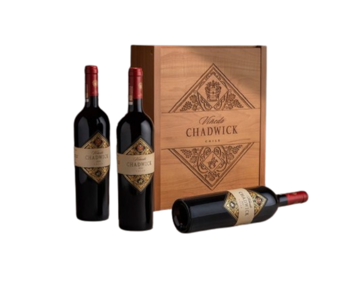 Vinedo Chadwick Vertical Library Edition 750ml