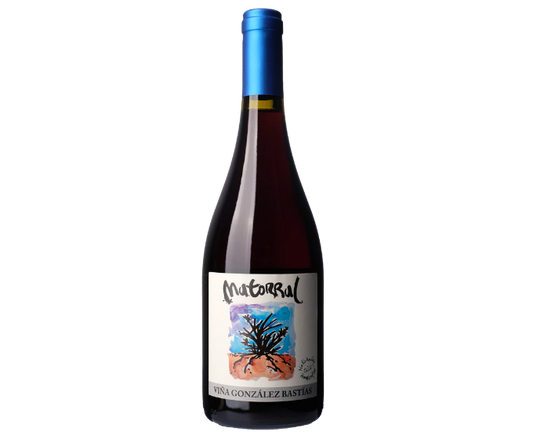 Vina Gonzalez Bastias Matorral 2019 750ml